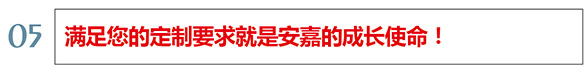 安嘉使命